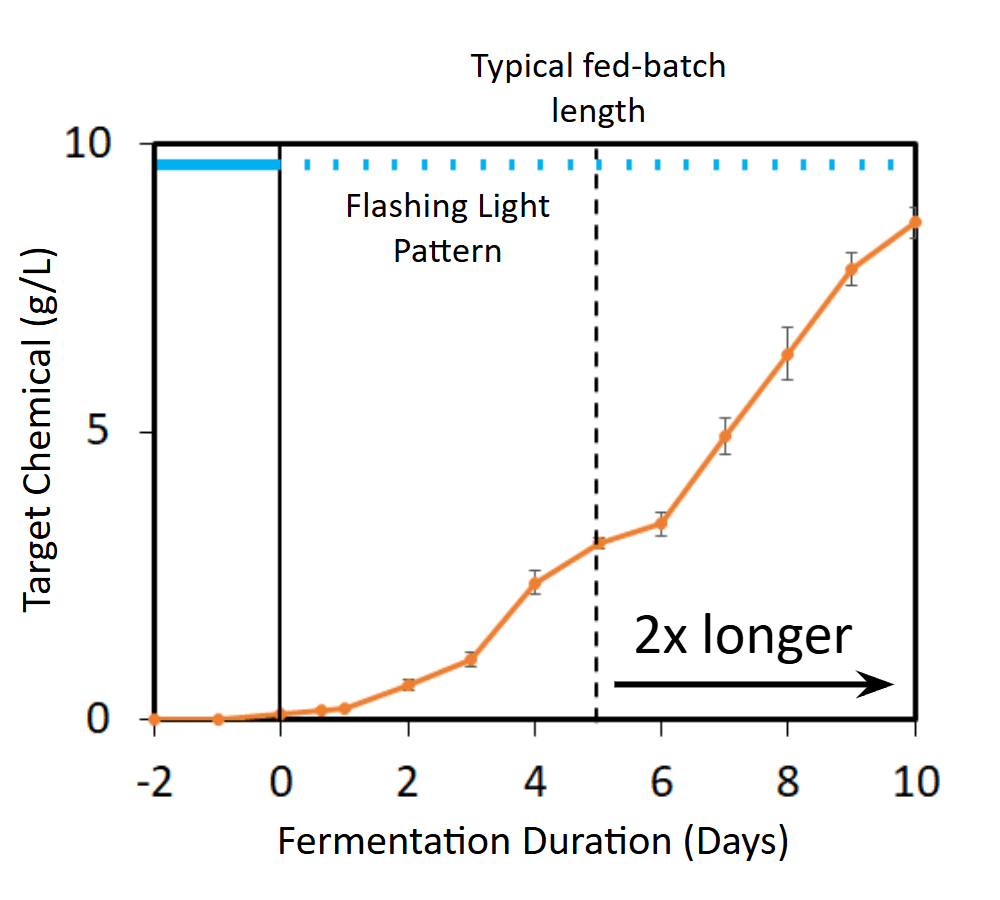 Fermentation duration case study — 2x longer production window with flashing light induction pattern