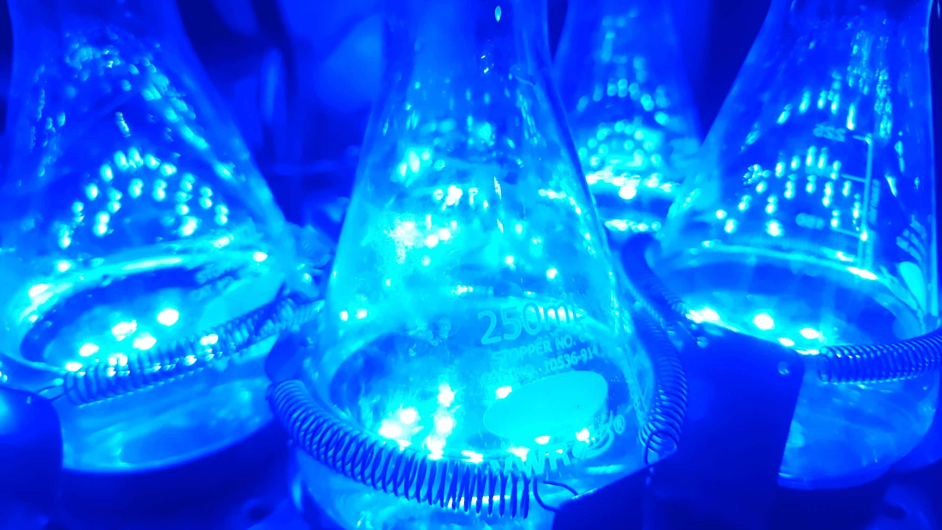 What Is Optogenetics and Why Does It Matter for Fermentation?